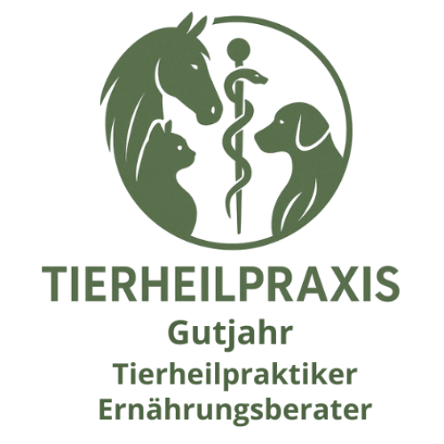 Dennis Gutjahr THP Logo