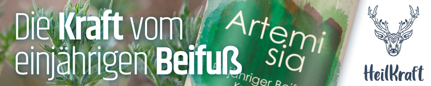 Heilkraft Vitalpilze für Menschen